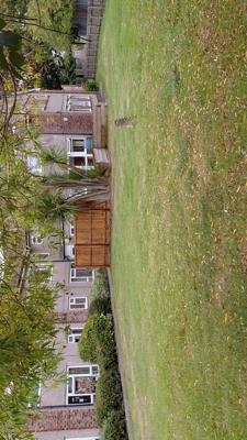 Communal Outdoor Green Space