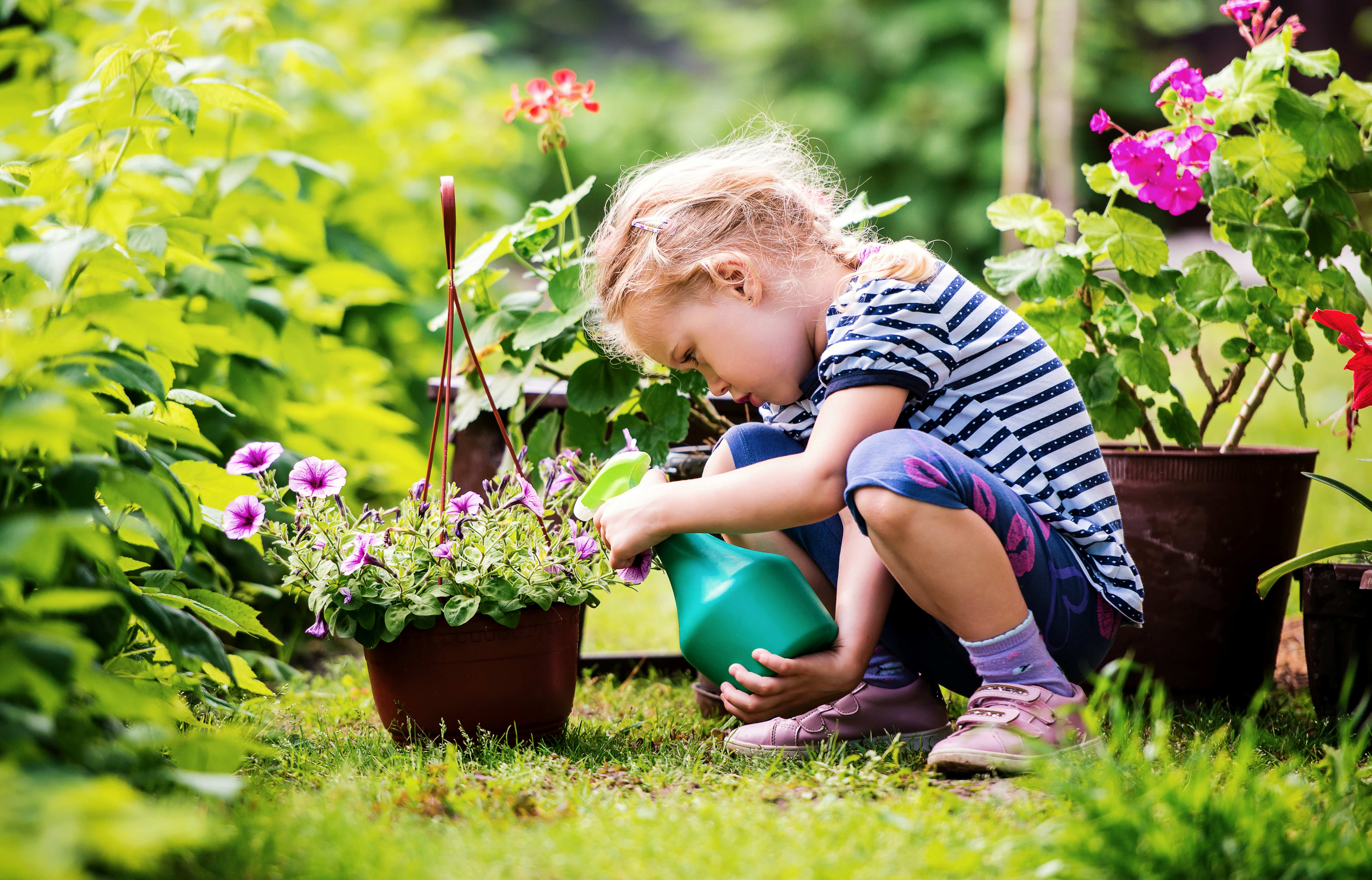Small child watering a plant in a garden