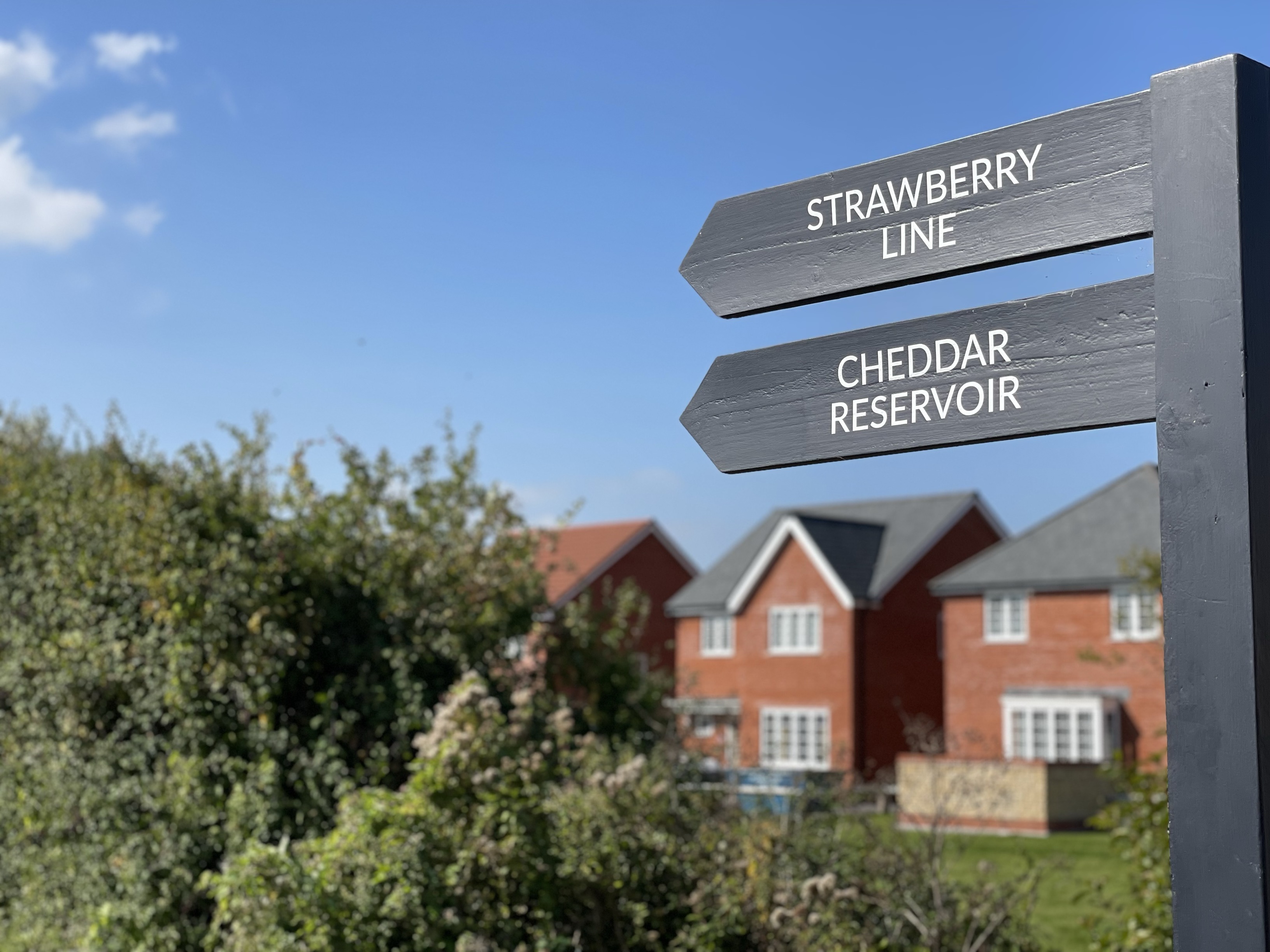 alliance homes houses