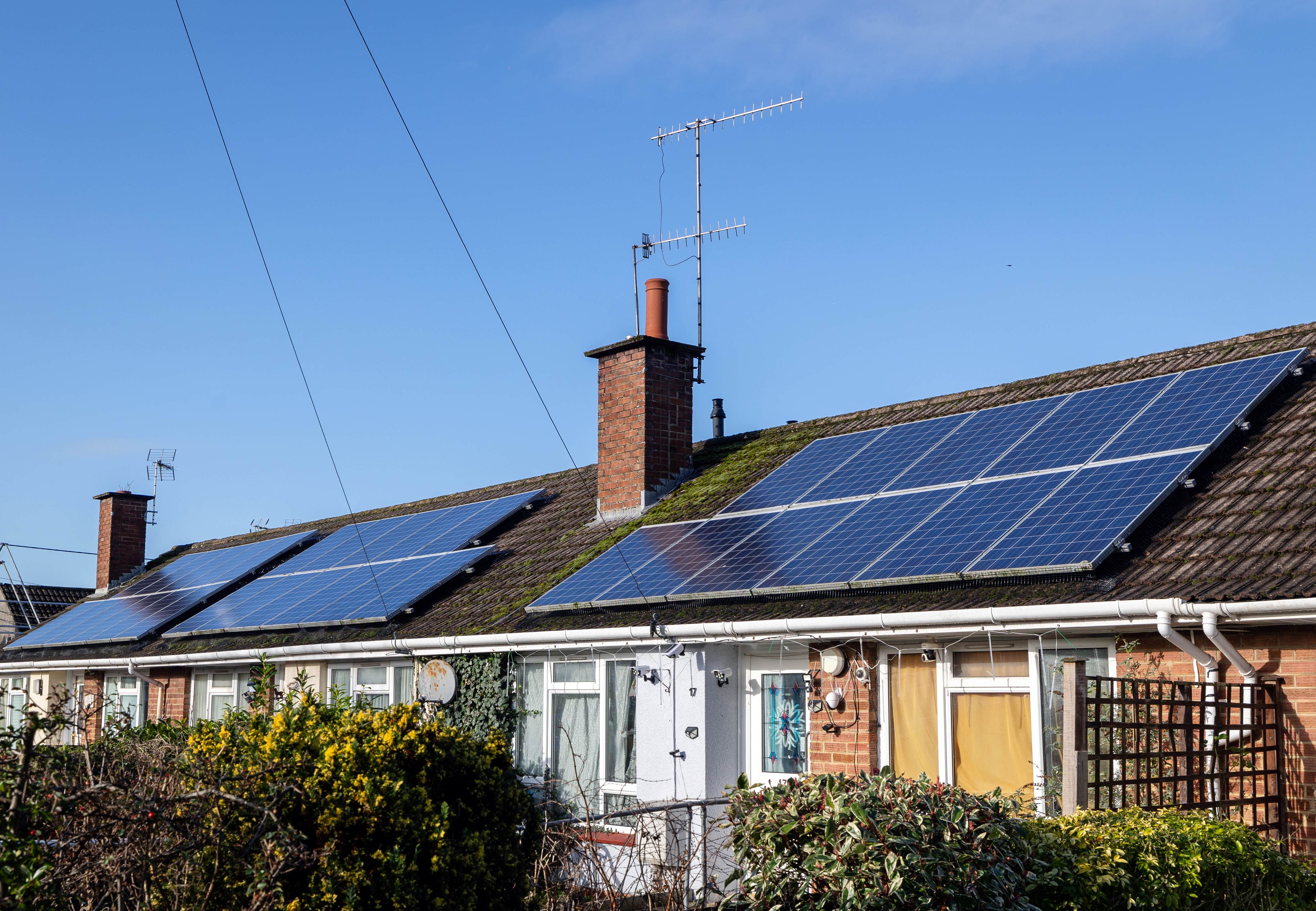 Image of houses with solar panels on roof 