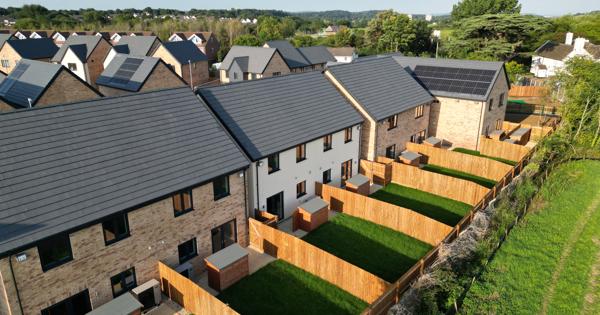 Row of houses seen from above backgardens