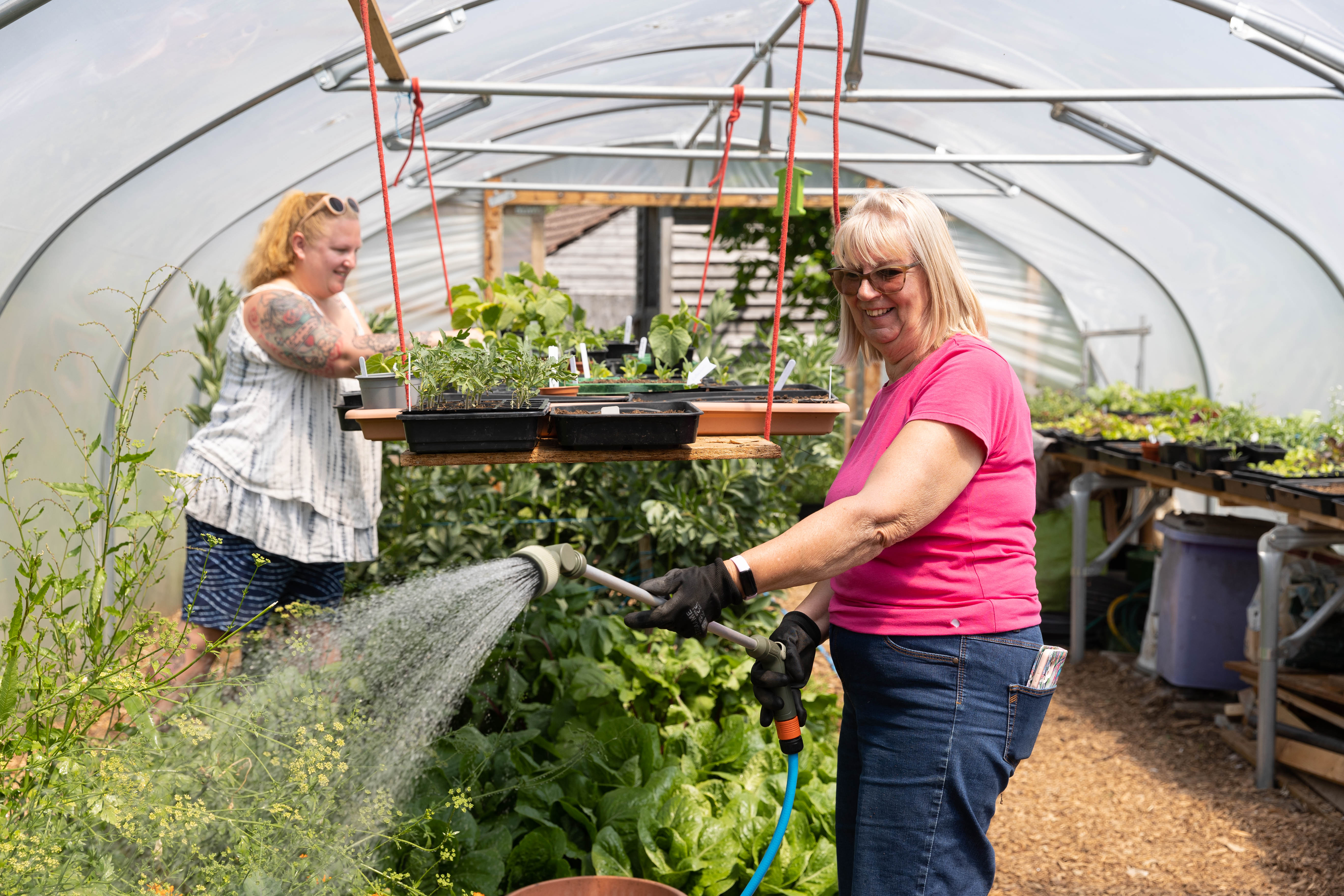 Alliance Homes Community Gardens Coleridge Road